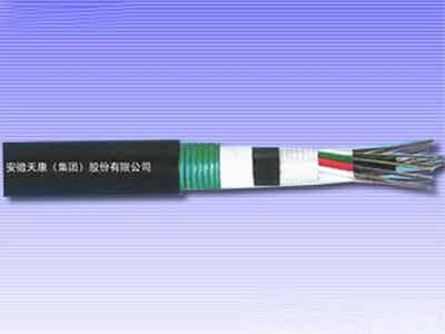 天康集團 鋰電配件 2-144芯松套層絞式水下光纜