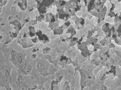 義騰新能源 有機涂覆聚合物涂層隔膜 LS-4025-T