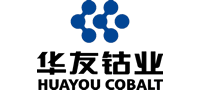 浙江華友鈷業股份有限公司