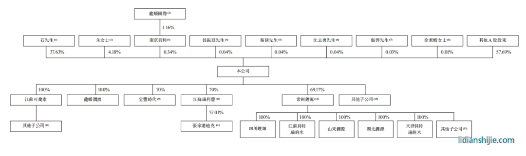 龍蟠科技股權結構